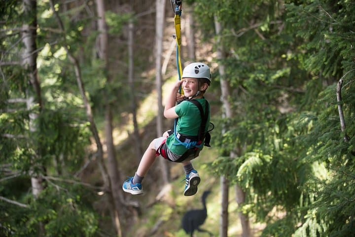 Ziptrek Ecotours photo 3