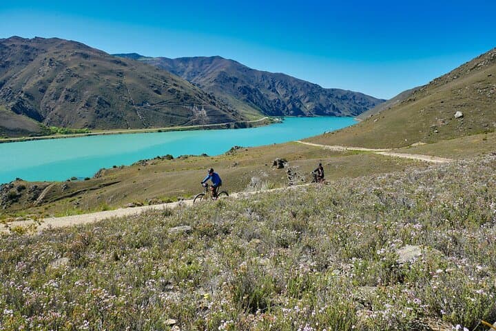 Cromwell: Lake Dunstan Discovery Day Tour by eBike with Shuttle