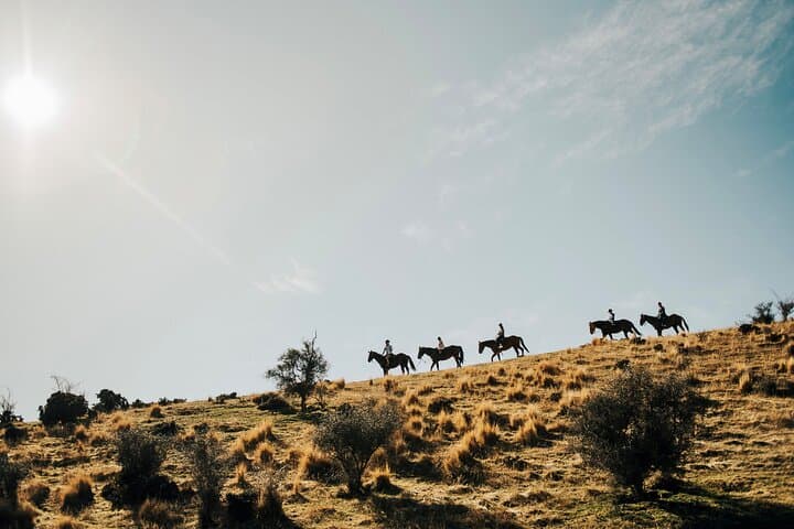 Gold Discovery Trail Horse Trek Cardrona - Most popular!