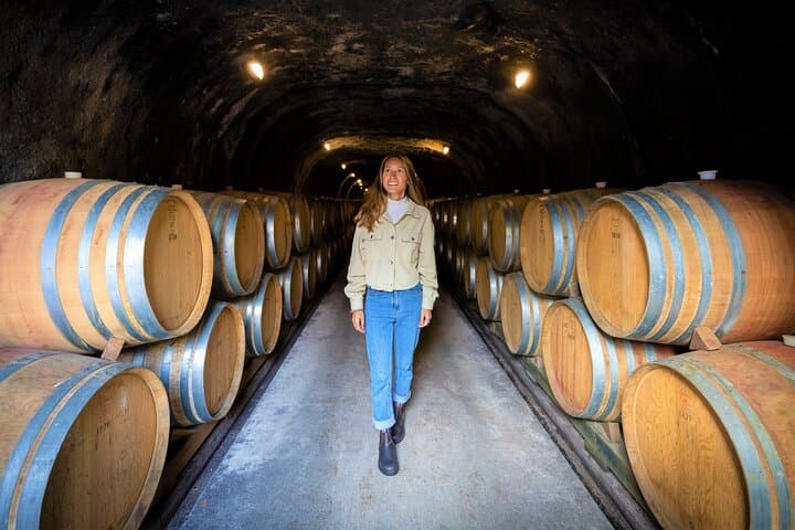Queenstown Classic Wine Tour: 3 Winery Visits, Cave Tour & Cheese
