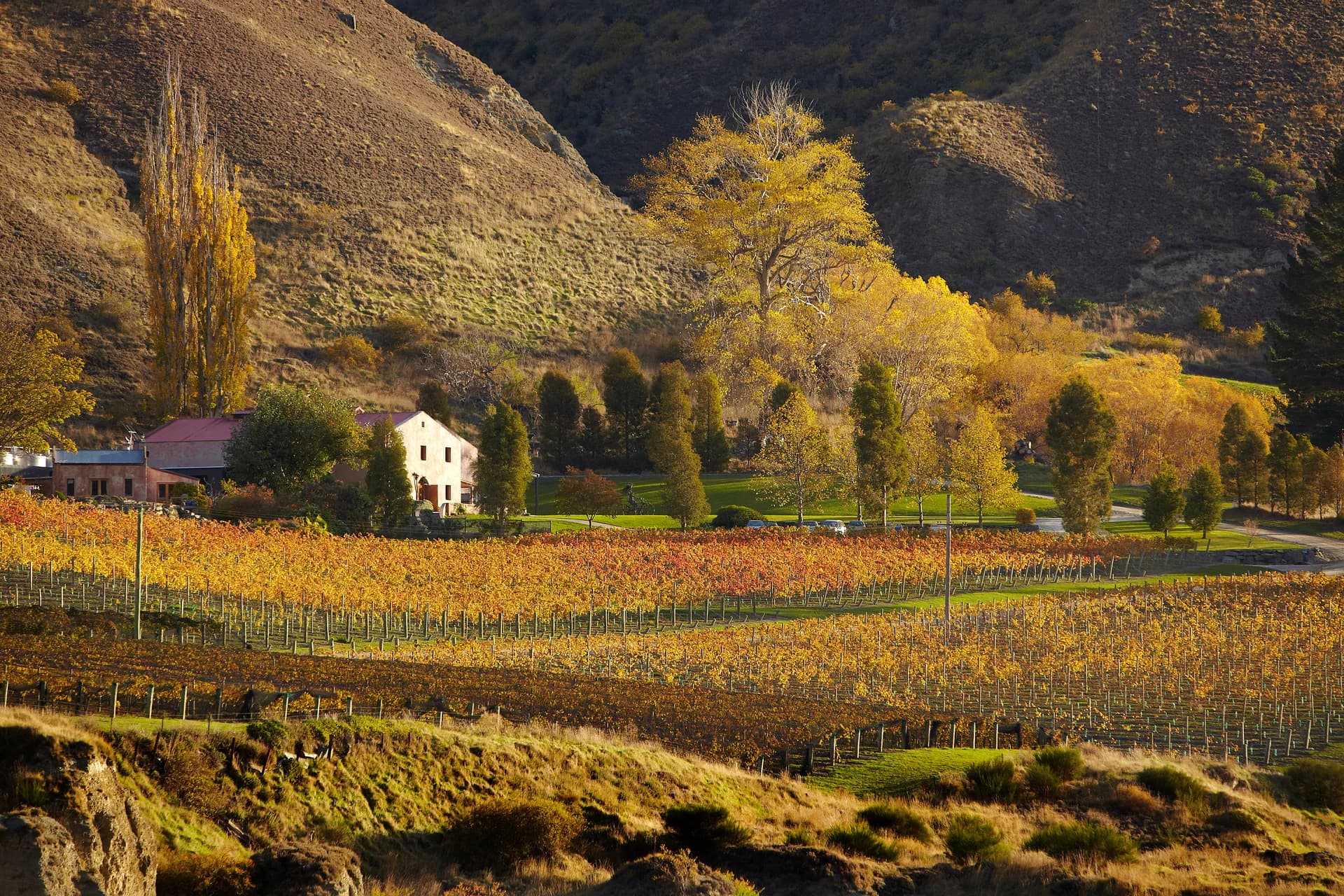 5-Day Couples: Food, Wine & Wellness