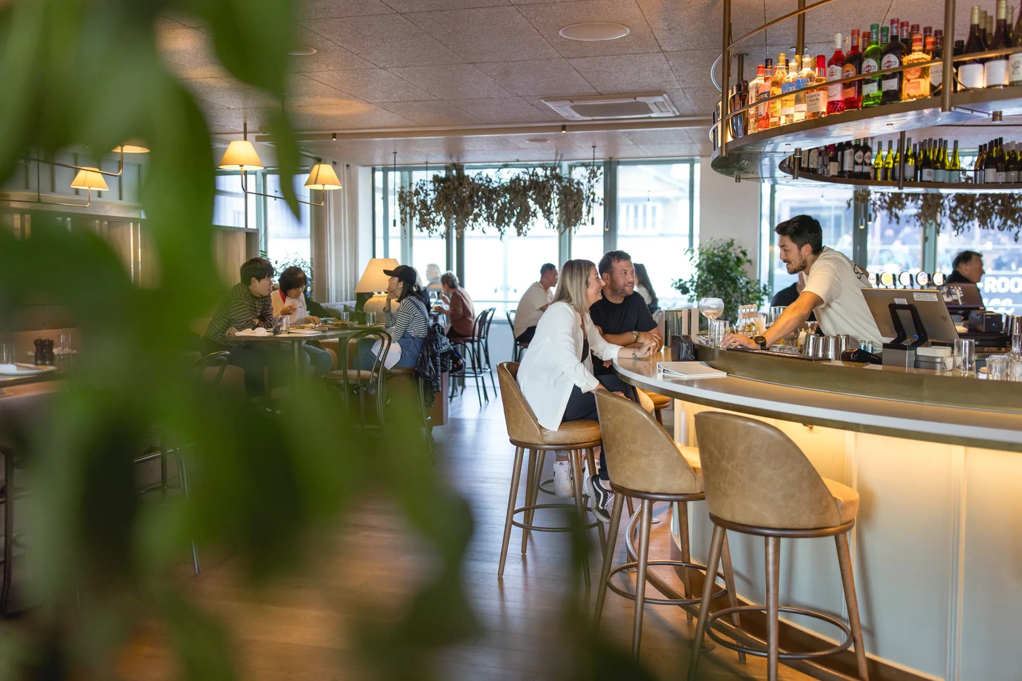 Evening drinks at a Queenstown bar