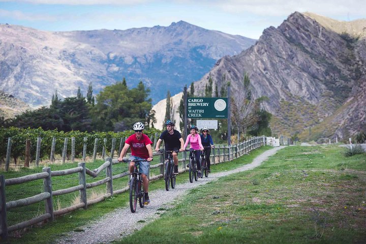 Bike The Wineries (1/2 Day) - Quick Pedal to Pinot