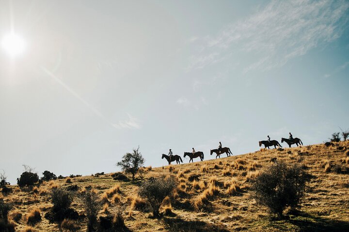 Gold Discovery Trail Horse Trek Cardrona - Most popular!
