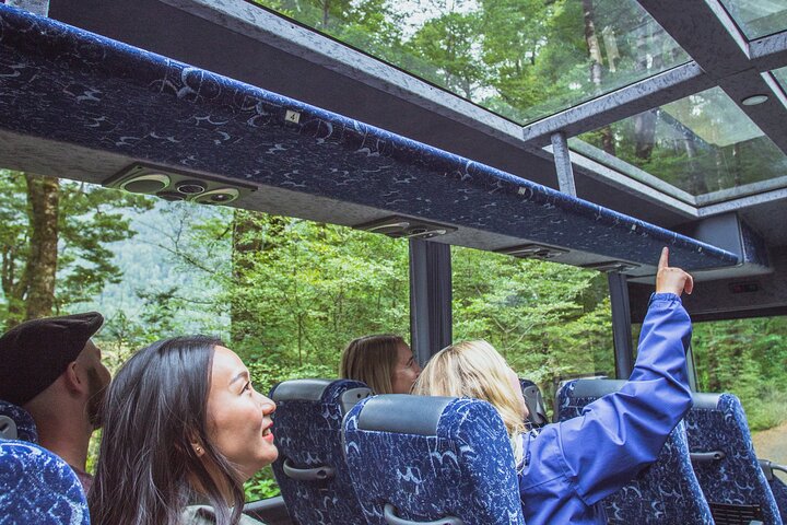 Milford Sound Coach & Cruise