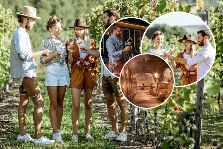 Queenstown Wine Tour + Wine Cave (Adults Only) Kiwi Host, Max 10
