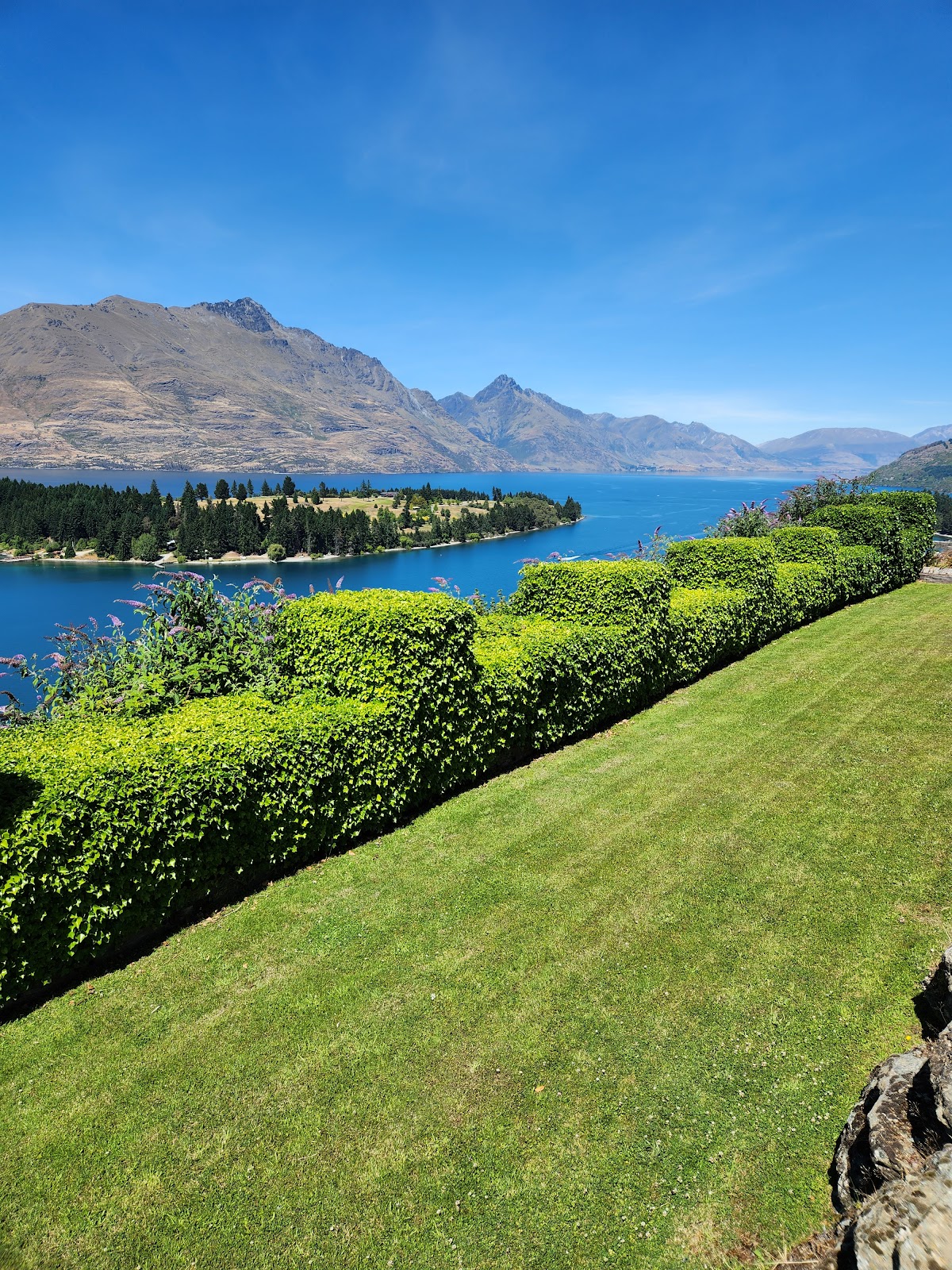 Friends of the Wakatipu Gardens photo 4