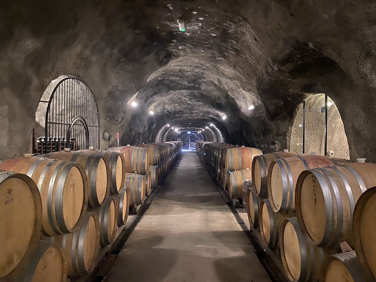 Gibbston Valley Winery photo 2