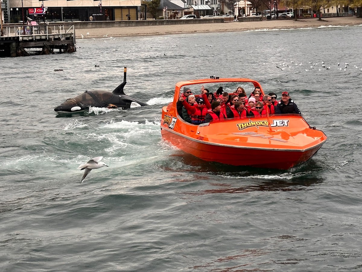 Watersports NZ