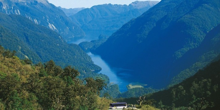 Doubtful Sound Overnight Cruise (Quad Share Room)