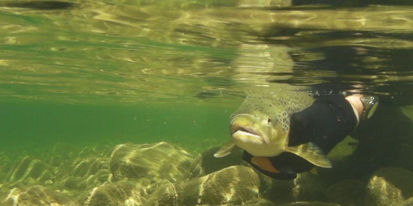 Fly Fishing - Simon Wilkinson Guided Tours