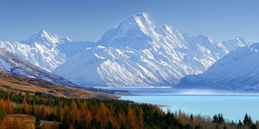 Fox Glacier Day Tour