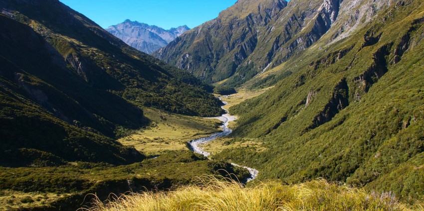 Fox Glacier Day Tour