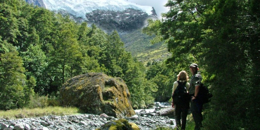 Guided Walks - Full Day Routeburn Nature Walk