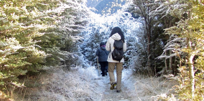 Guided Walks - Full Day Routeburn Nature Walk