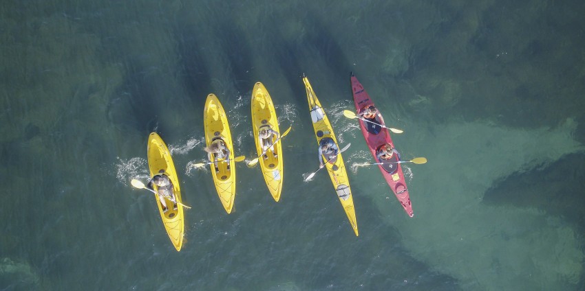 Kayaking - Paddle Queenstown