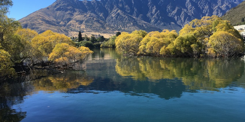 Lake Cruises - Million Dollar Cruise