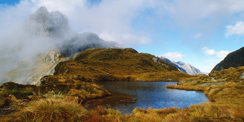 Milford Track Day Walk - Real Journeys