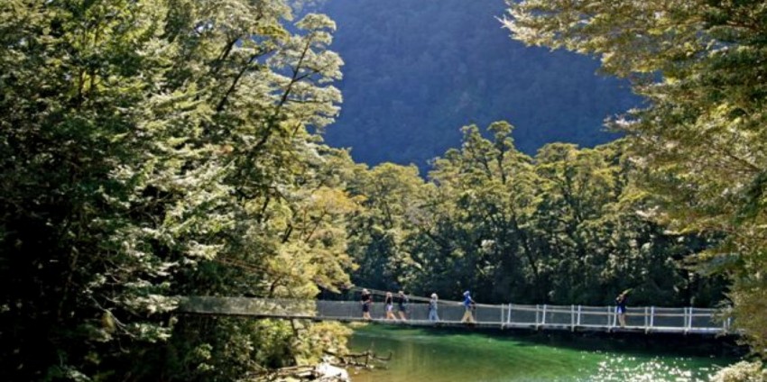 Milford Track Day Walk - Real Journeys