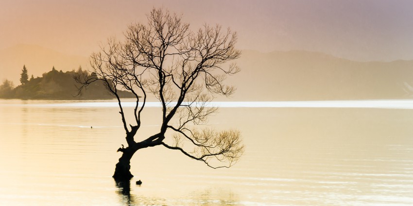 Photography Tours - Queenstown Photo Tours