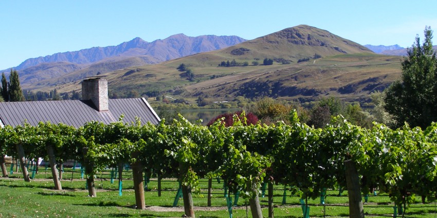 Private Twilight Food & Wine Experience