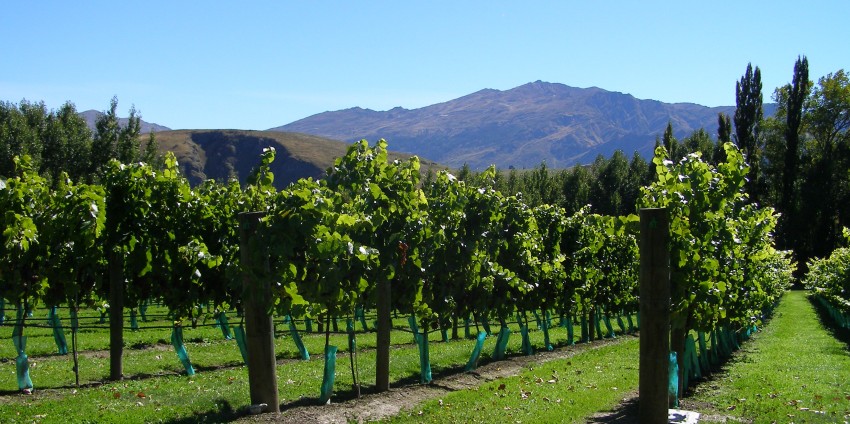 Private Twilight Food & Wine Experience