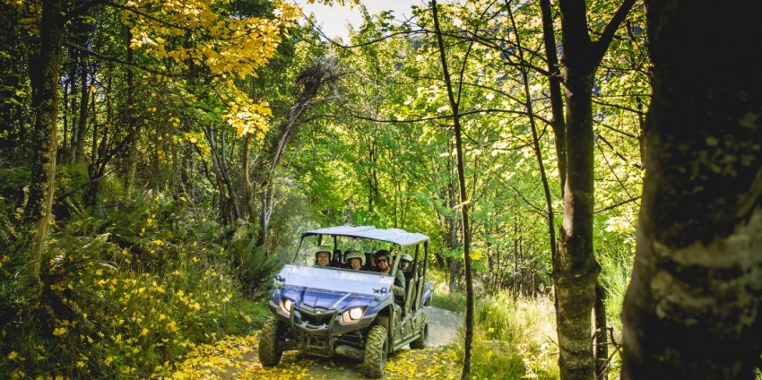 Scenic Guided Buggy Ride - Off Road Expeditions