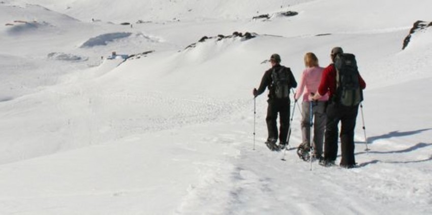 Snowshoeing - Guided Nature Walks