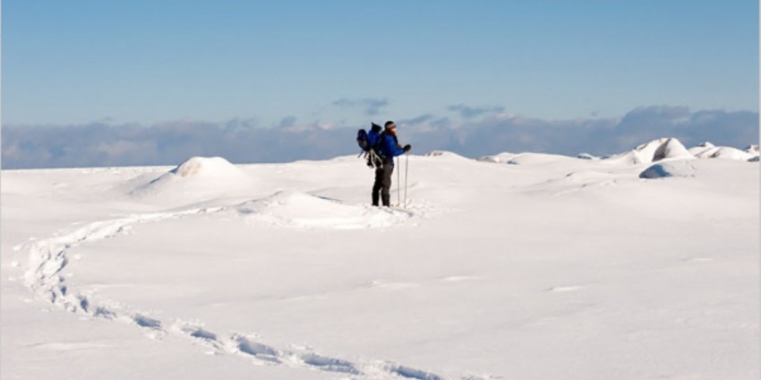 Snowshoeing - Guided Nature Walks