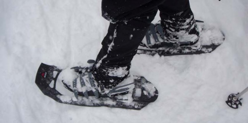 Snowshoeing - Guided Nature Walks