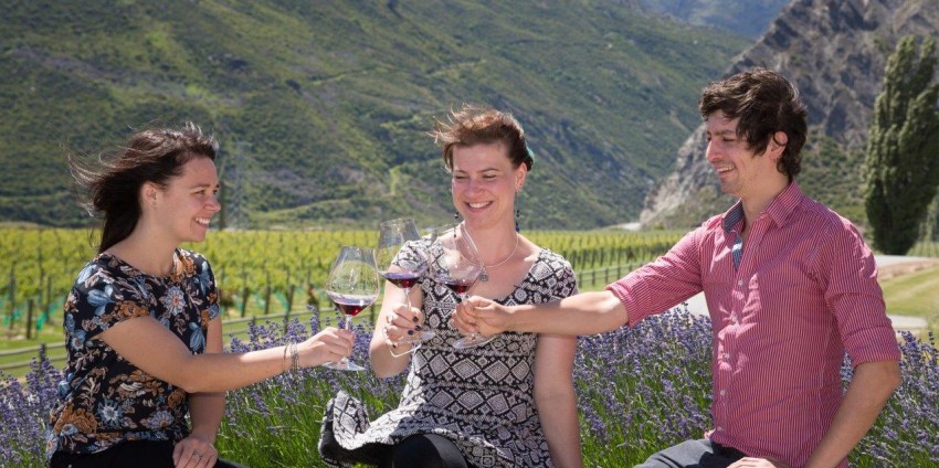 Wine Tours - Appellation Central Wine Tours